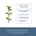 eclectic-herb-nettle-root-capsules-prost-5.jpg