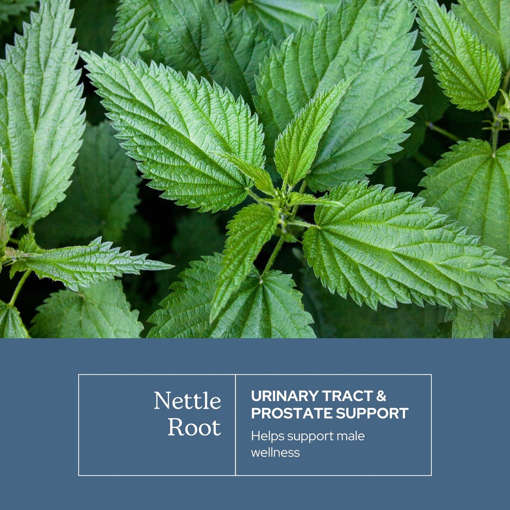 eclectic-herb-nettle-root-capsules-prost-3.jpg