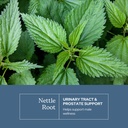 eclectic-herb-nettle-root-capsules-prost-3.jpg