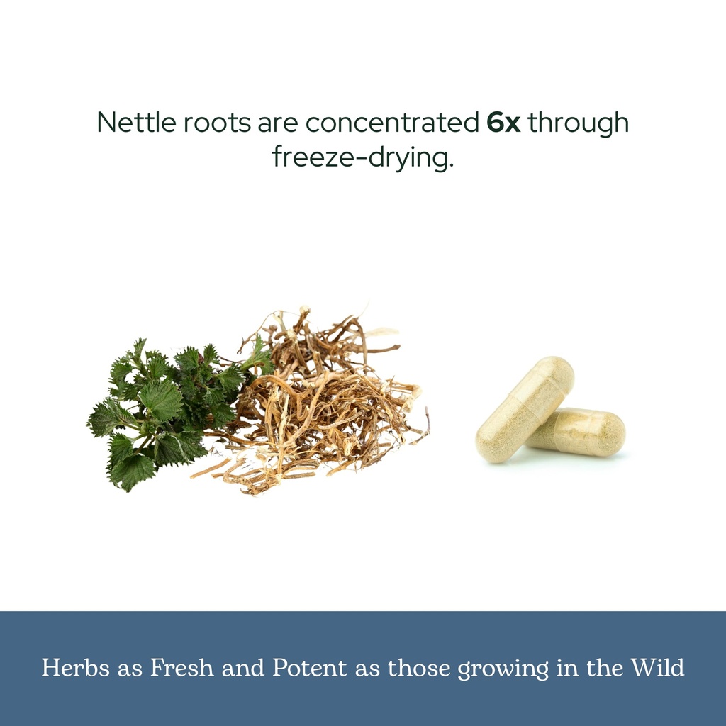 eclectic-herb-nettle-root-capsules-prost-6.jpg