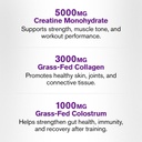 jacked-factory-creatine-for-women-creati-5.jpg