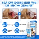 dog-ear-infection-treatment-dog-ear-drop-3.jpg