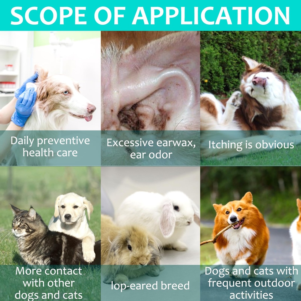 ear-mite-treatment-for-dogs-dog-ear-infe-6.jpg