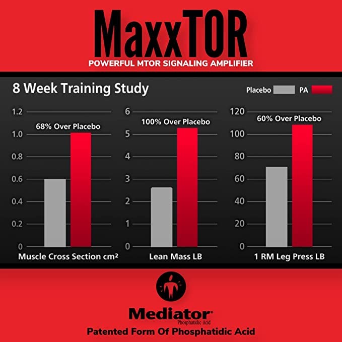 maxxtor-muscle-amplifier-phosphatidic-ac-3.jpg