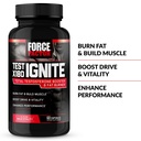 force-factor-test-x180-ignite-testostero-2.jpg