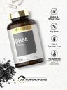 carlyle-dhea-100mg-supplement-300-capsul-4.jpg