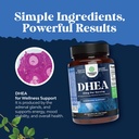 bundle-of-dhea-supplement-for-hormone-ba-6.jpg
