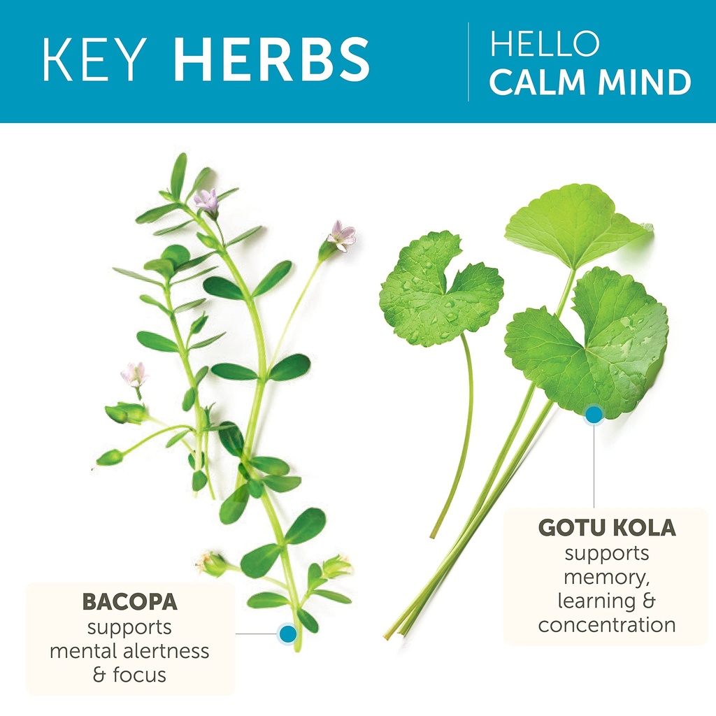 himalaya-hello-calm-mind-with-bacopa-for-4.jpg