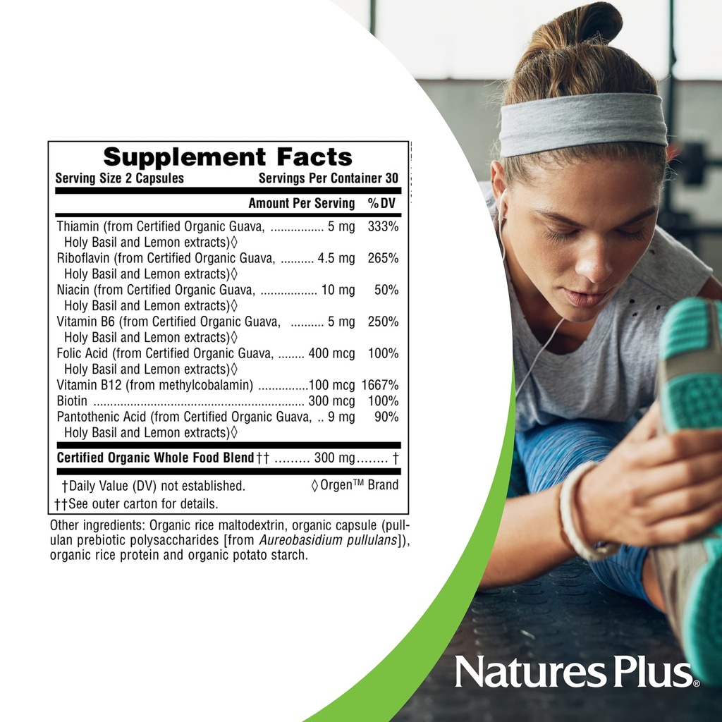naturesplus-source-of-life-garden-b-comp-4.jpg