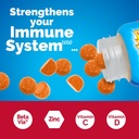 emergen-c-immune-triple-action-immune-su-2.jpg