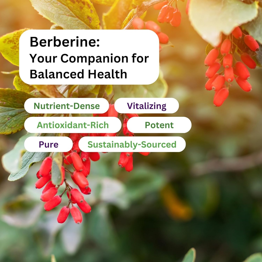 paradise-herbs-berberine-extract-500-mg--5.jpg