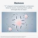 designs-for-health-iggi-shield-gut-healt-4.jpg