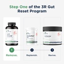 designs-for-health-iggi-shield-gut-healt-5.jpg
