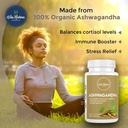 ashwagandha-capsules-1000mg-organic-herb-4.jpg