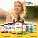 wild-organic-yohimbe-supplements-for-men-5.jpg