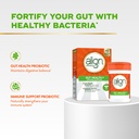 align-probiotic-gut-health-immune-suppor-3.jpg
