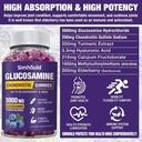 simhould-2-packs-glucosamine-chondroitin-2.jpg