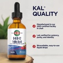 kal-vitamin-b-6-b-12-folic-acid-dropins--5.jpg