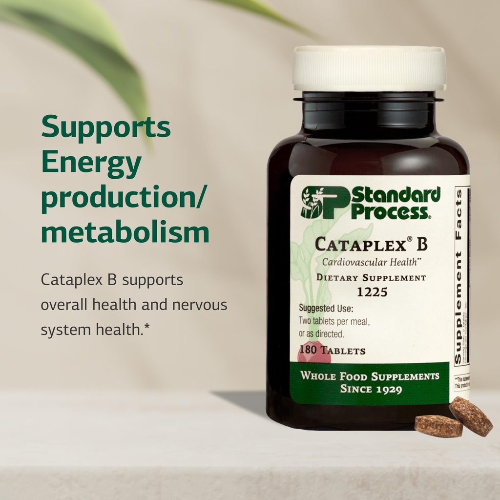 standard-process-cataplex-b-nervous-syst-3.jpg