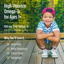 nordic-naturals-children-s-dha-xtra-berr-6.jpg