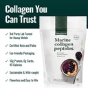 natural-force-clean-marine-collagen-powd-3.jpg