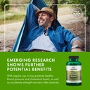 swanson-premium-brand-ginger-root-540-mi-6.jpg