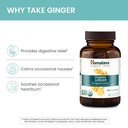 himalaya-organic-ginger-60-day-supply-di-4.jpg
