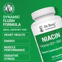 dr-berg-highly-potent-niacin-500-mg-now--3.jpg