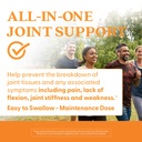 doctor-s-best-glucosamine-chondroitin-ms-5.jpg