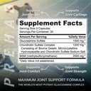 glucosamine-chondroitin-msm-premium-join-3.jpg