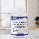 arymar-glucosamine-chondroitin-msm-colla-5.jpg