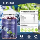 glucosamine-chondroitin-gummies-3000mg-e-2.jpg