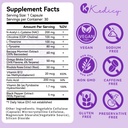 brain-supplements-for-memory-and-focus-1-2.jpg
