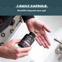 ancient-nutrition-probiotics-for-women-o-4.jpg
