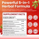 vev-berberine-supplement-with-ceylon-cin-2.jpg