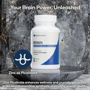 brain---balanced-neurotransmitter-suppor-3.jpg
