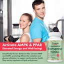 liposomal-berberine-hcl-berberine-1500mg-3.jpg