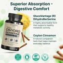 vinatura-dihydroberberine-supplement-wit-4.jpg