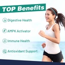 owegel-berberine-hcl-supplement-with-cey-4.jpg
