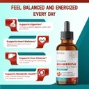 liposomal-berberine-with-cinnamon-milk-t-5.jpg