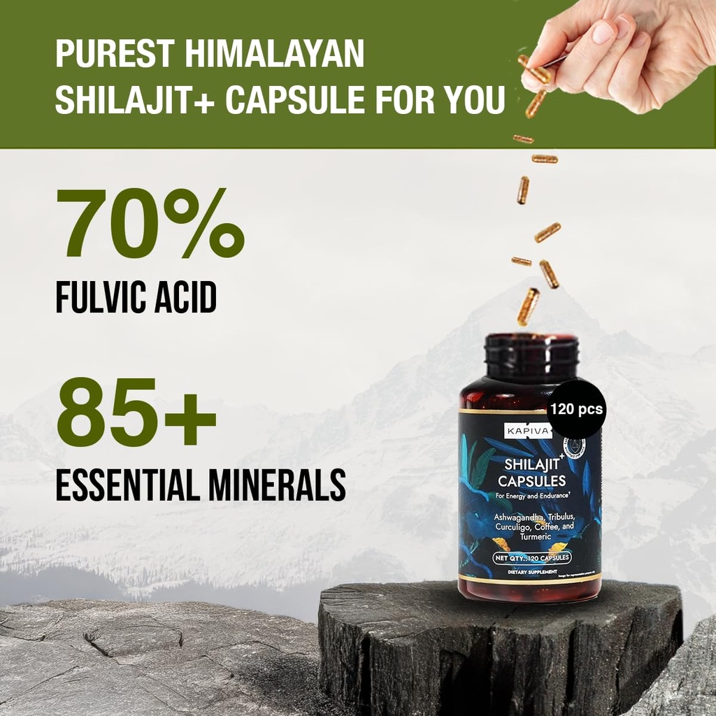 organic-himalayan-shilajit-resin-extract-3.jpg