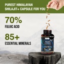organic-himalayan-shilajit-resin-extract-3.jpg