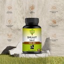 1000-mg-shilajit-tablets-pure-natural-he-6.jpg