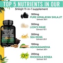adndale-shilajit-for-men-and-women-pure--2.jpg