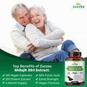 zazzee-100-pure-himalayan-shilajit-20-1--3.jpg