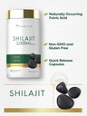 carlyle-shilajit-capsules-90-count-non-g-4.jpg