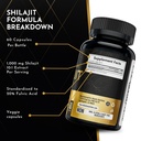 atlantis-nutrition-himalayan-shilajit-ca-6.jpg