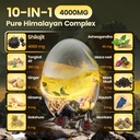 vivonu-shilajit-gummies-pure-himalayan-m-3.jpg