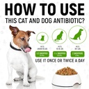 antibiotics-for-dogs-antibiotics-for-cat-4.jpg