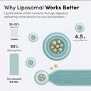 aurora-nutrascience-liposomal-d3-with-k2-3.jpg